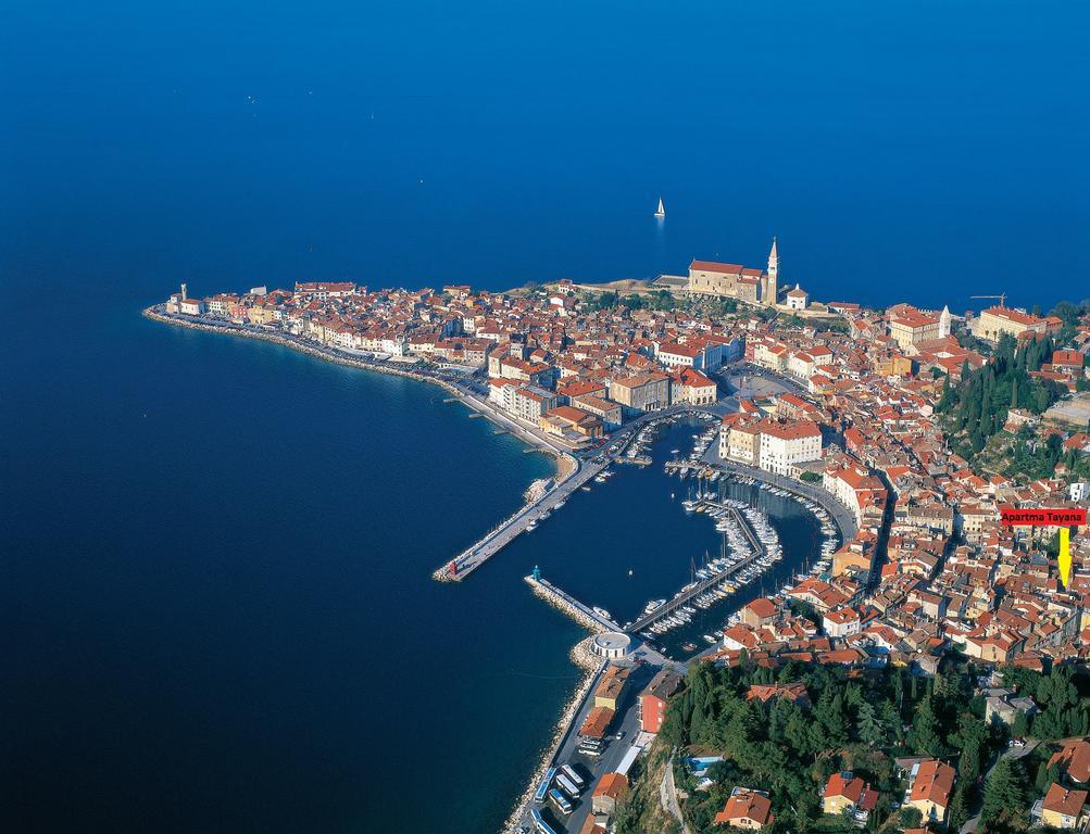 Apartma Tayana Piran - Parking Included !!! Eksteriør bilde